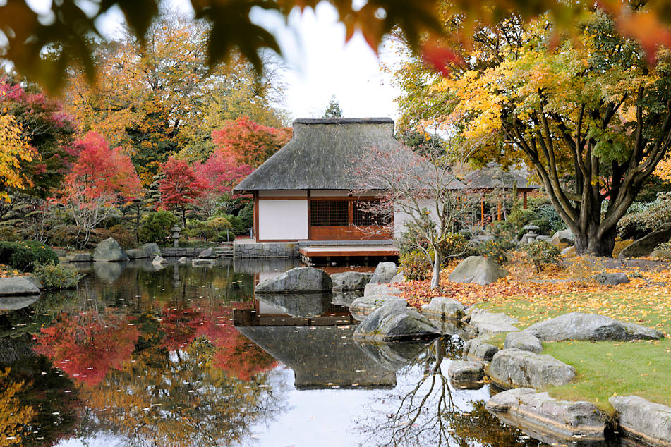 Bildarchiv Hamburg Com Foto Teehaus Im Japanischen Garten In Hamburg Planten Un Blomen Japanischer Ahorn Mit Herbstblattern Spiegeln Sich Im Wasser